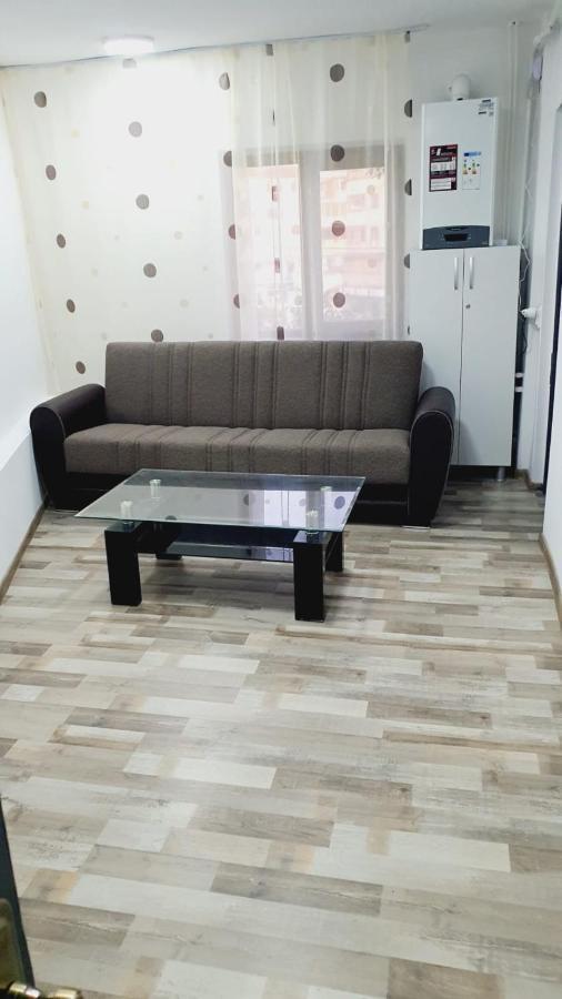 Apartament Radoi Διαμέρισμα Ντρομπέτα-Τούρνου Σεβερίν Εξωτερικό φωτογραφία